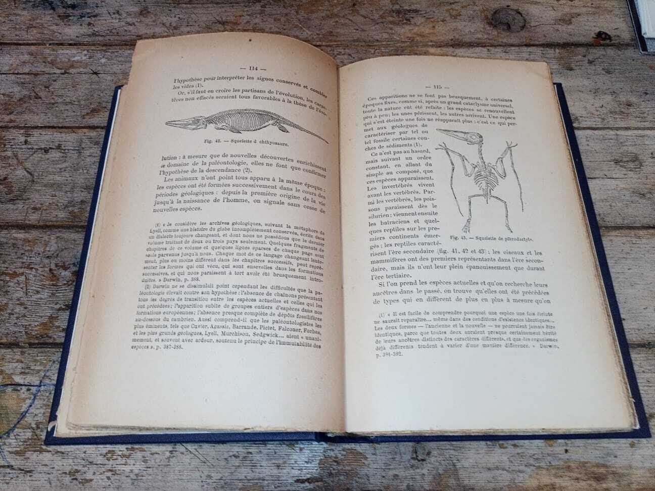 Les origines. Questions d’apologétique - immagine 3
